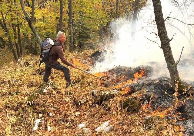 Incendiu masiv în Parcul Național Domogled – Valea Cernei: peste 130 de forțe de intervenție acționează în teren