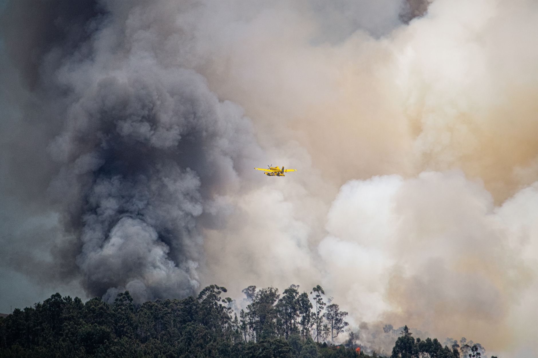 Intervenție aeriană în Gorj: Un avion Spartan al Forțelor Aeriene Române luptă cu un incendiu de pădure