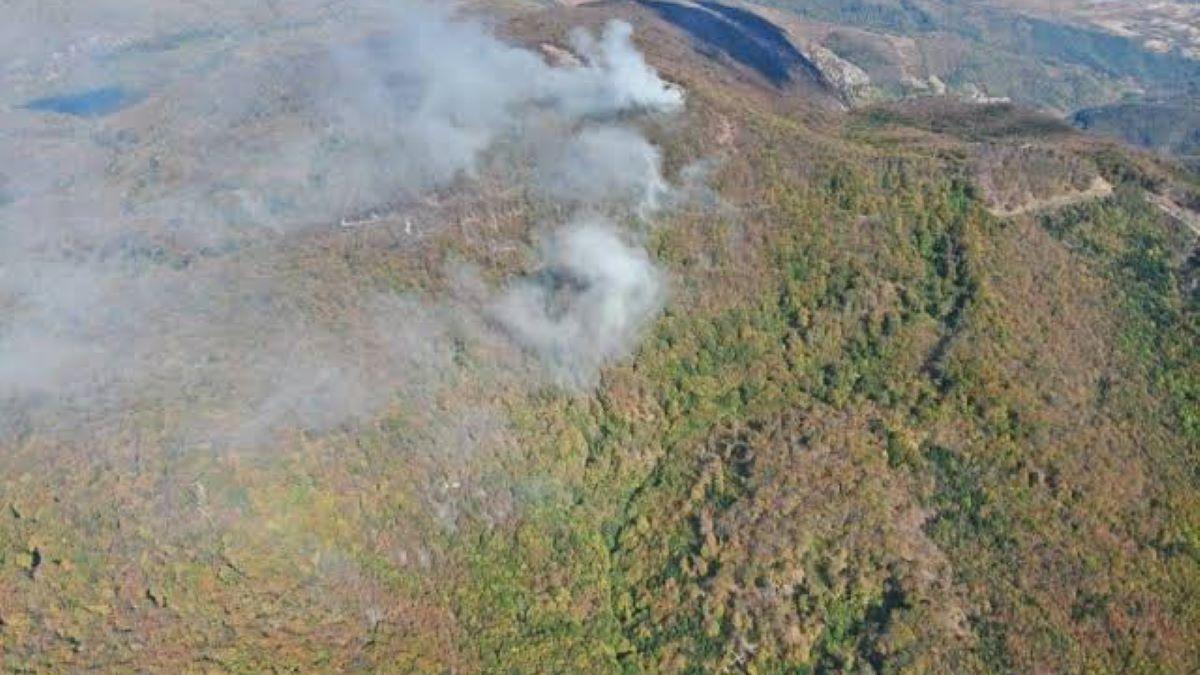 Echipele de intervenție luptă cu incendiul din Parcul Național Domogled – Valea Cernei