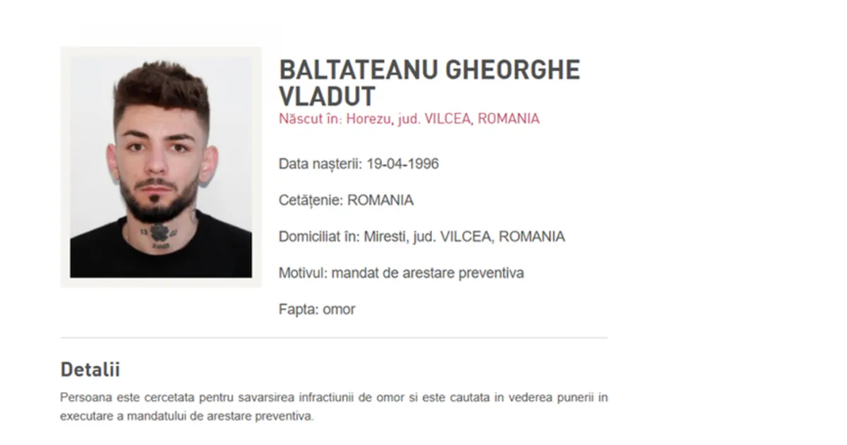 Suspectul Gheorghe Vlăduț Bălțățeanu, care este acuzat de omor, a fost adus în România