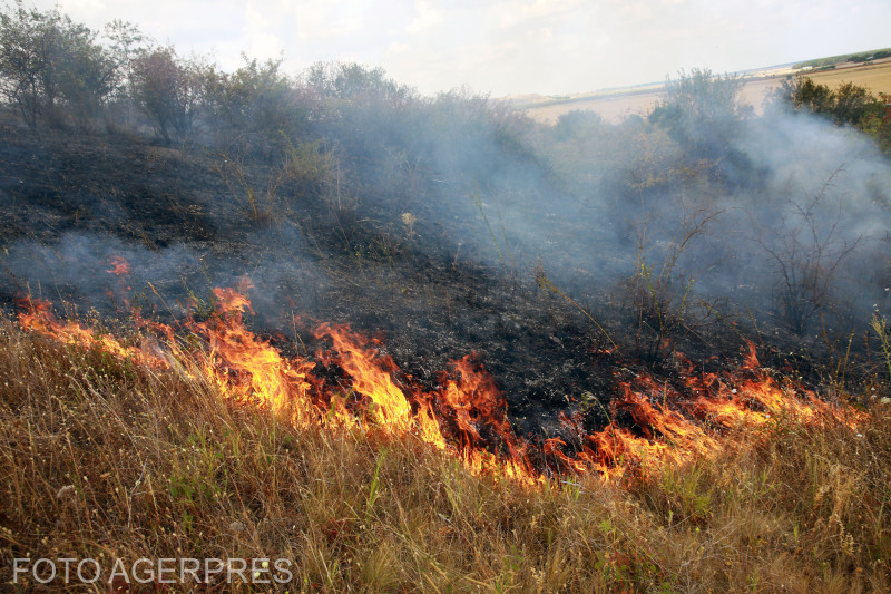 Operațiuni intense în Parcul Național Domogled – Valea Cernei pentru stingerea unui incendiu de vegetație