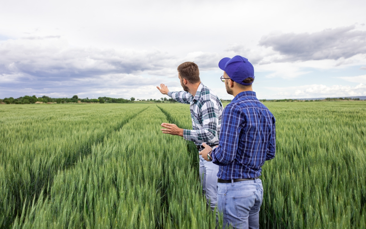Impactul agriculturii asupra stratului de ozon și rolul tehnologiei în reducerea emisiilor de azot