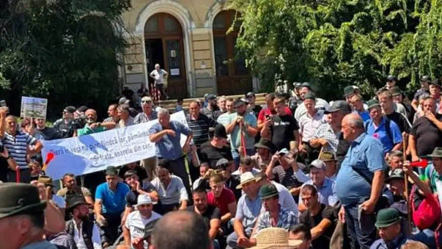 Oieri amenință cu blocarea drumurilor în Valea Oltului dacă nu sunt primiți de premierul Ilie Bolojan