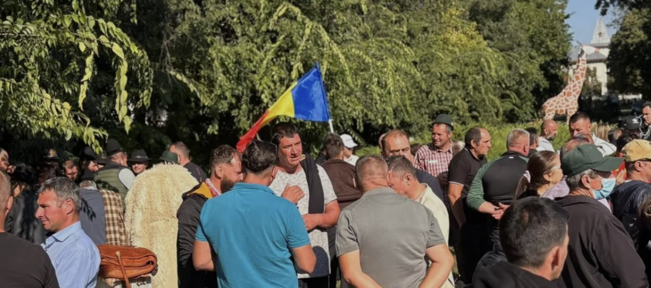 Oieri și ciobani în Piața Victoriei: revendicări și afirmații despre o invitație de la Cotroceni