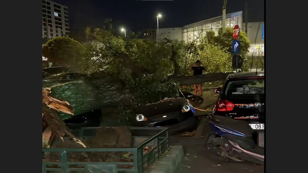Incident grav în Capitală: un copac masiv a căzut peste patru mașini și o motocicletă pe Bulevardul Iuliu Maniu