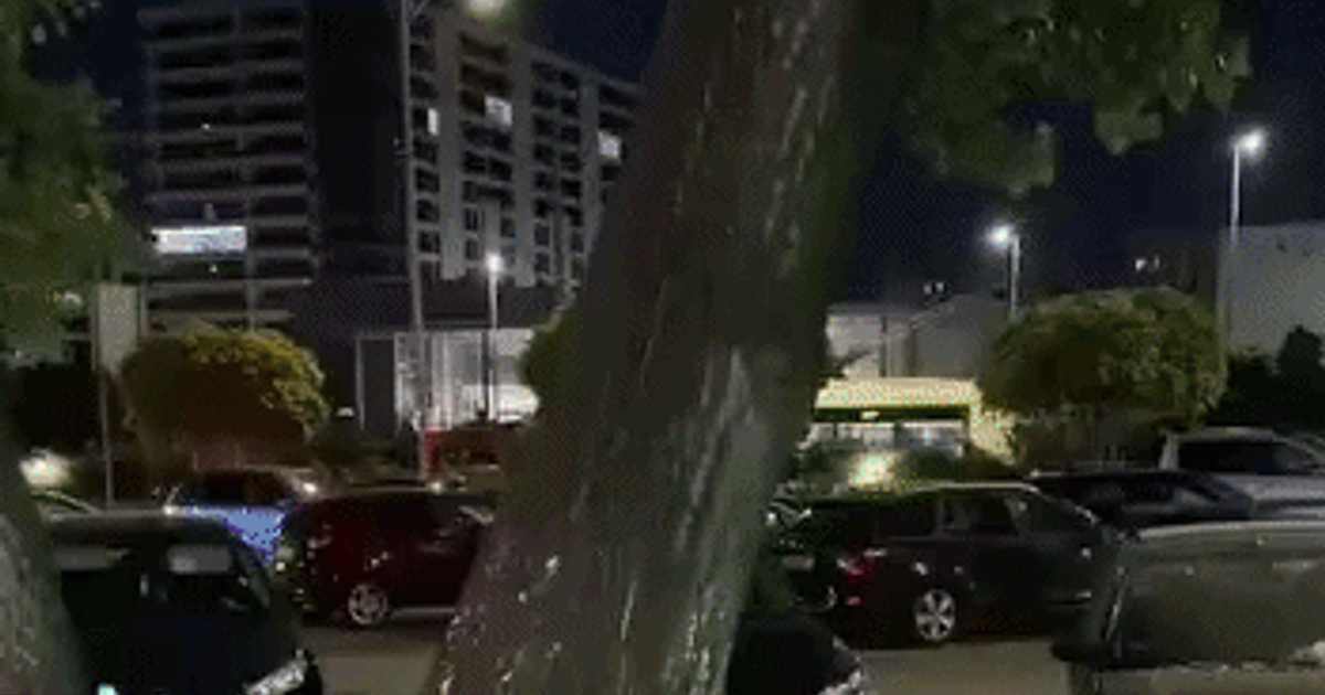 Un plop a căzut peste patru mașini și un scuter în Sectorul 6, București
