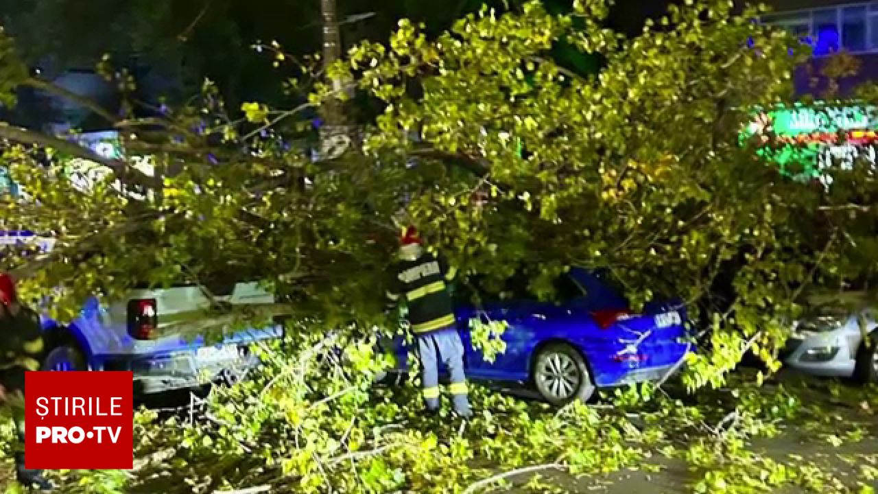 Un plop s-a prăbușit peste un motociclist în București, provocând avarii multiple