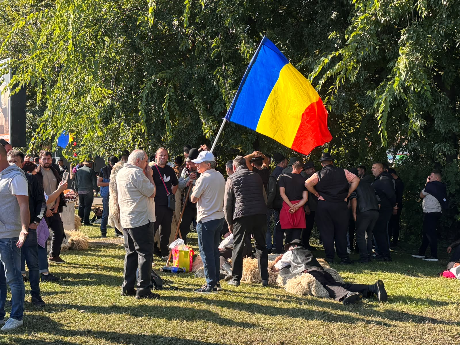 Proteste în Piața Victoriei: Oieri cer oprirea sacrificării animalelor și deschiderea exporturilor