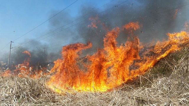 Incendiile de vegetație în scădere în 2026, dar numărul de intervenții rămâne critic, avertizează IGSU