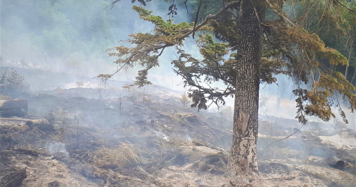 Peste 10.000 de incendii de vegetație în primele opt luni ale anului 2026, conform datelor IGSU