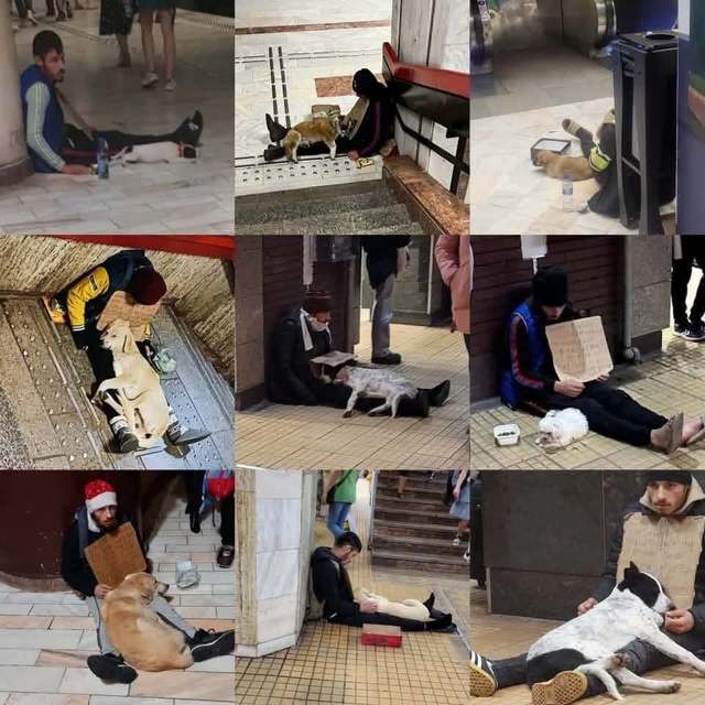 Mobilizare pentru protest în București: suspiciuni că un cerșetor folosește animale sedate pentru a cere bani