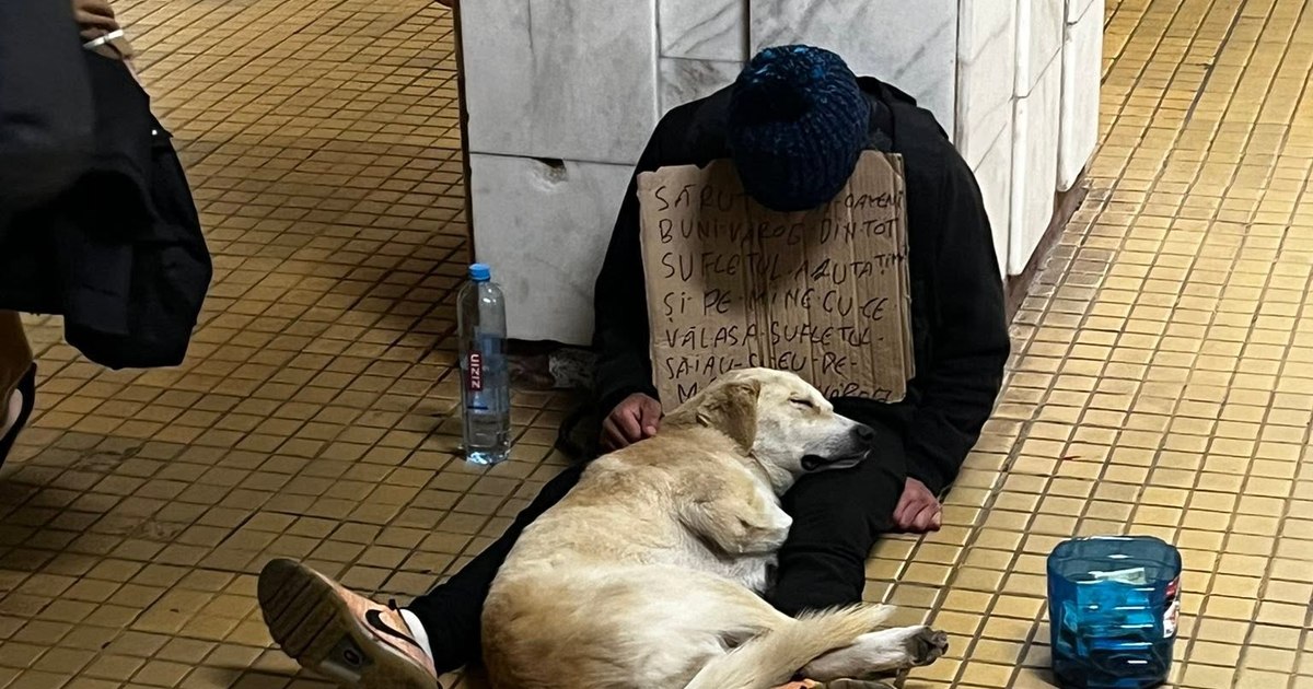 Protest planificat în București: Suspectează că animalele unui cerșetor sunt sedate