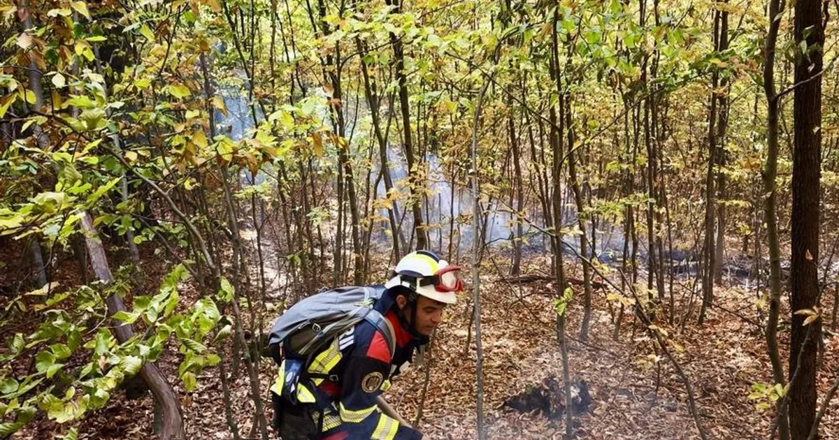 Zeci de pompieri luptă cu incendiile de vegetație în Parcul Național Domogled-Valea Cernei și la Băile Olănești