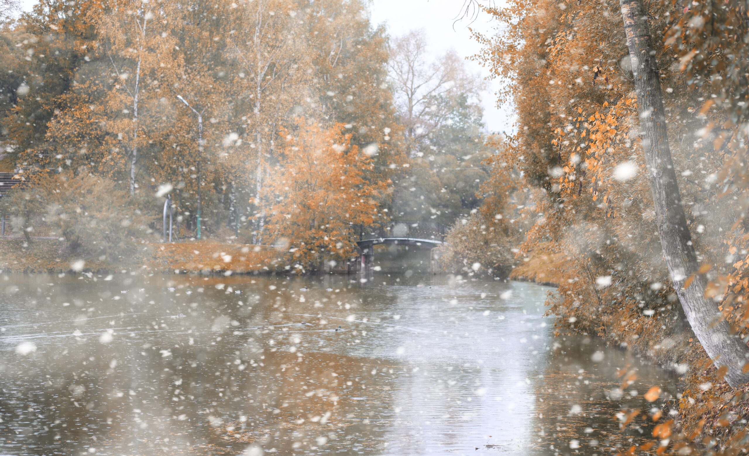 Avertismente meteo în România: Cod galben pentru ploi torențiale și precipitații la munte