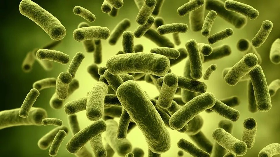 Microbi modificați genetic ar putea facilita colonizarea planetei Marte, conform unui start-up californian