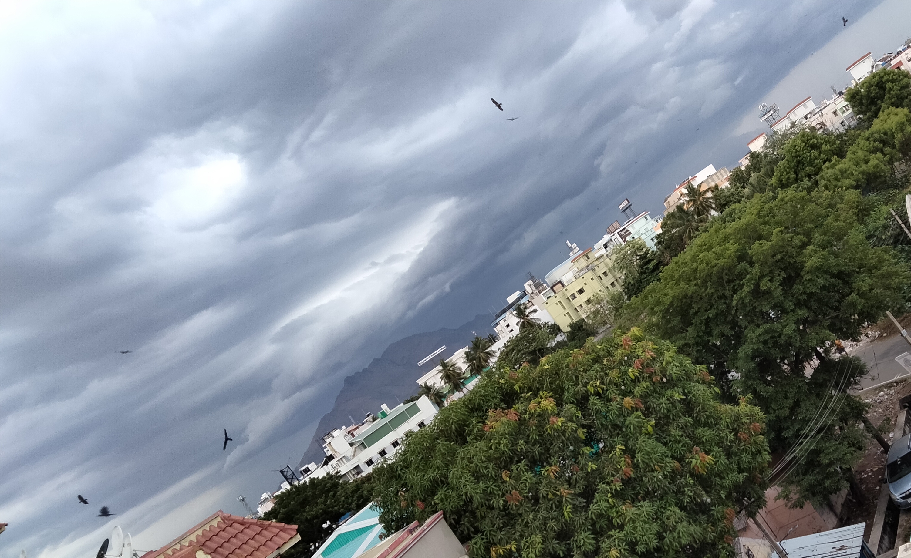 Avertizări meteo de la ANM: Cod galben de vânt în sud-estul țării și precipitații mixte la munte