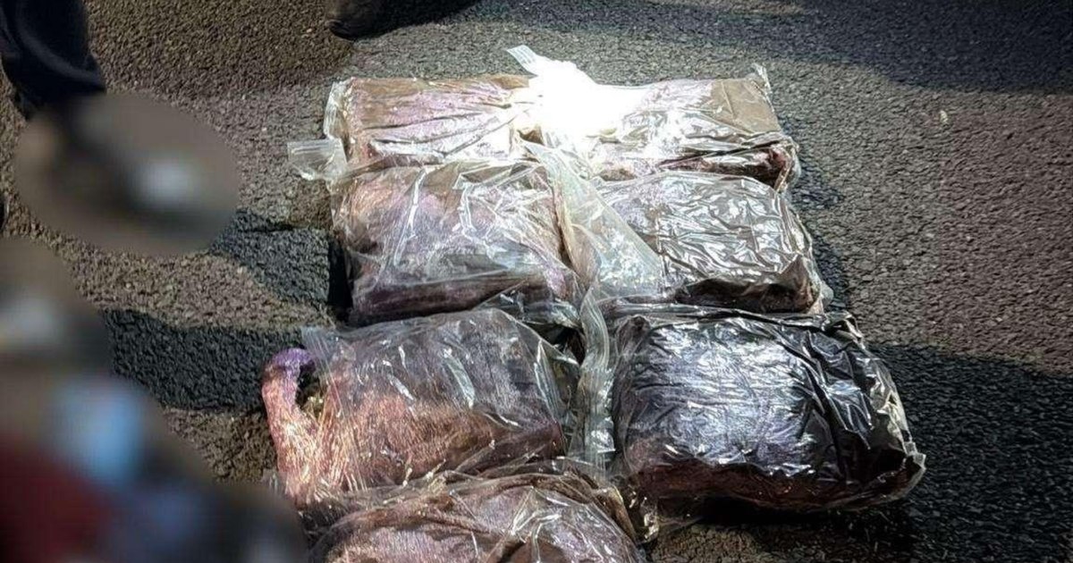Captură de droguri la Vama Nădlac: un tânăr transporta 7 kilograme de canabis din Spania